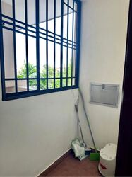 Carissa Park Condominium (D17), Condominium #506887151